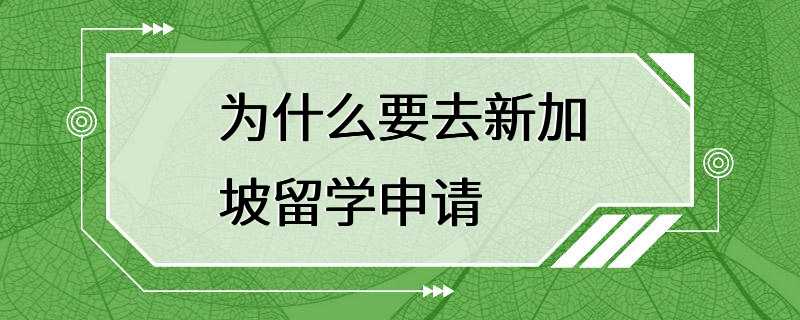 为什么要去新加坡留学申请