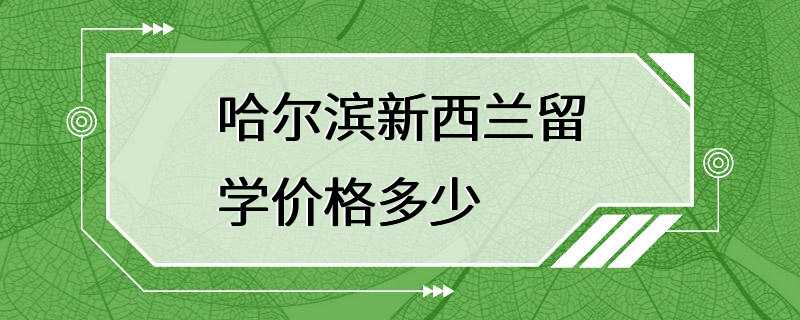 哈尔滨新西兰留学价格多少