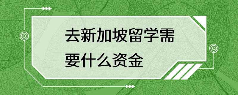 去新加坡留学需要什么资金