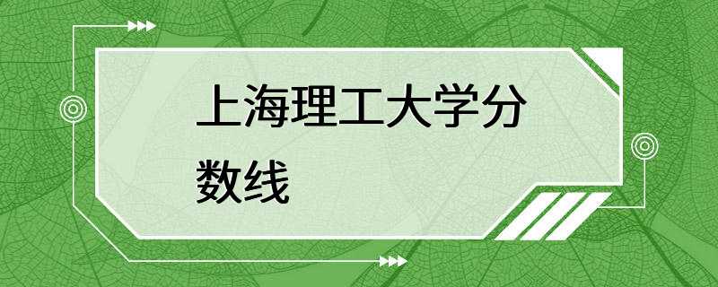 上海理工大学分数线