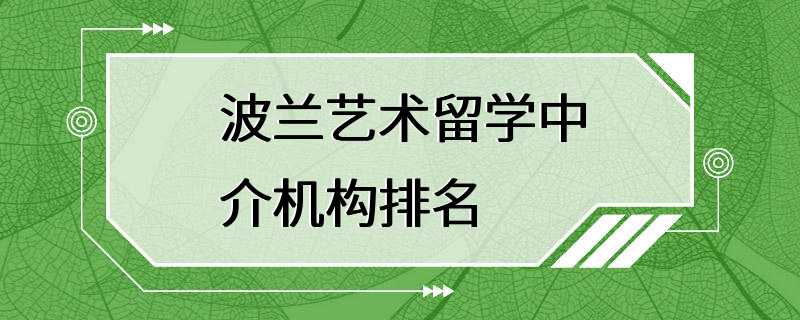 波兰艺术留学中介机构排名