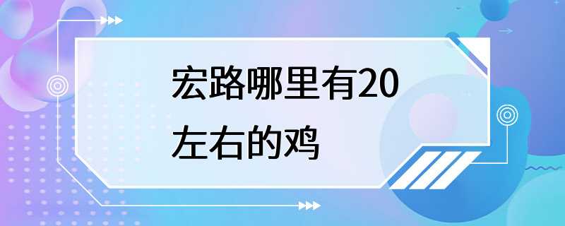 宏路哪里有20左右的鸡