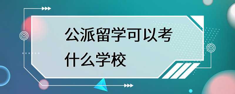 公派留学可以考什么学校