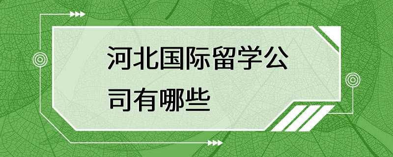 河北国际留学公司有哪些