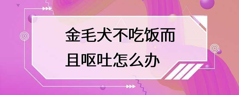 金毛犬不吃饭而且呕吐怎么办