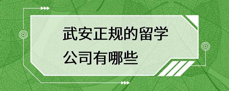 武安正规的留学公司有哪些