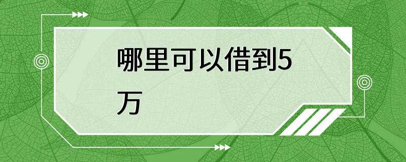 哪里可以借到5万