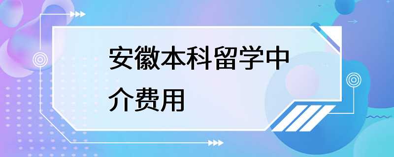 安徽本科留学中介费用