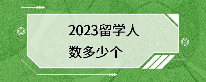 2023留学人数多少个