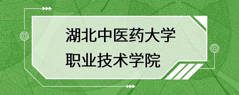 湖北中医药大学职业技术学院