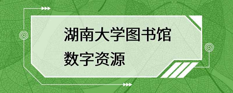 湖南大学图书馆数字资源