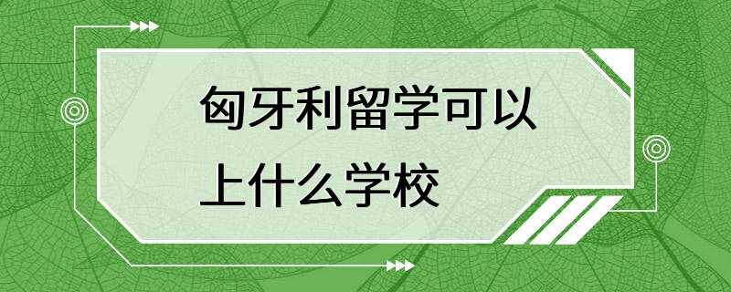 匈牙利留学可以上什么学校