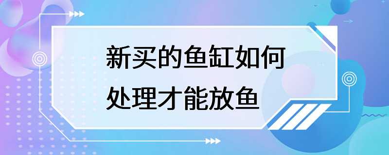 新买的鱼缸如何处理才能放鱼