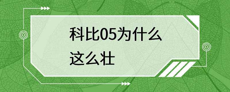 科比05为什么这么壮