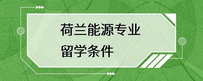 荷兰能源专业 留学条件