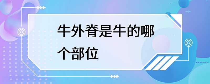 牛外脊是牛的哪个部位