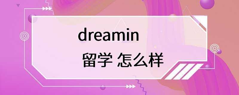 dreamin 留学 怎么样