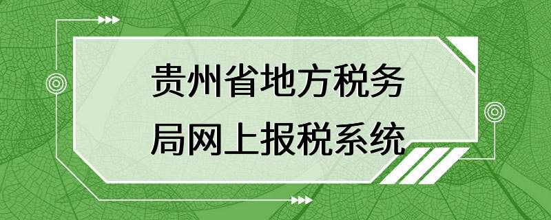 贵州省地方税务局网上报税系统