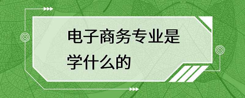 电子商务专业是学什么的