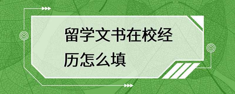 留学文书在校经历怎么填