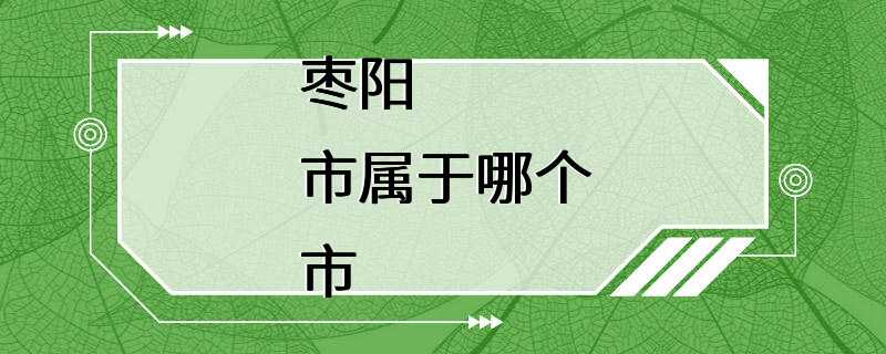 枣阳市属于哪个市