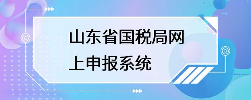 山东省国税局网上申报系统