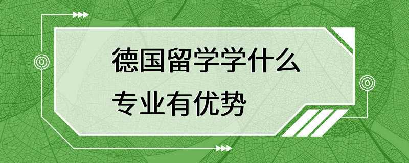 德国留学学什么专业有优势