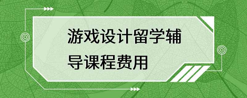 游戏设计留学辅导课程费用