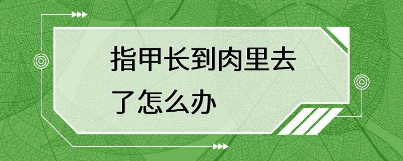 指甲长到肉里去了怎么办