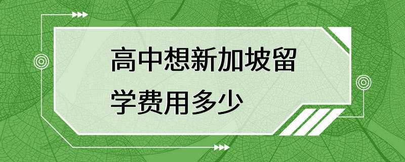 高中想新加坡留学费用多少