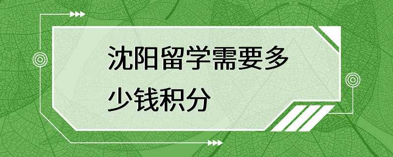 沈阳留学需要多少钱积分