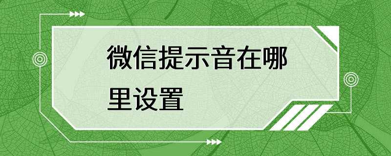 微信提示音在哪里设置