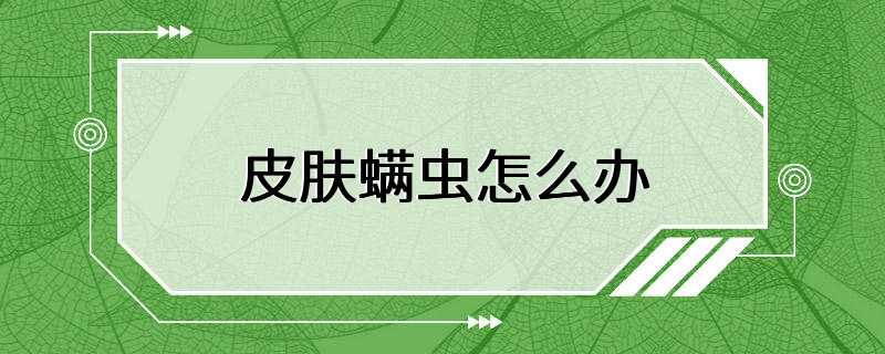 皮肤螨虫怎么办