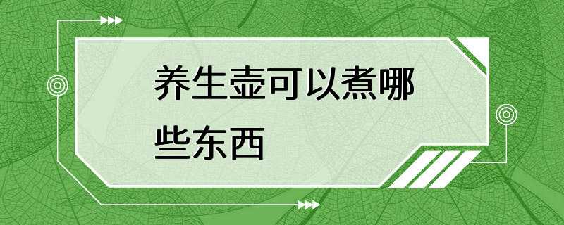 养生壶可以煮哪些东西