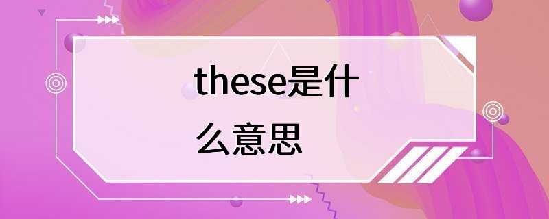 these是什么意思