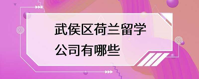 武侯区荷兰留学公司有哪些