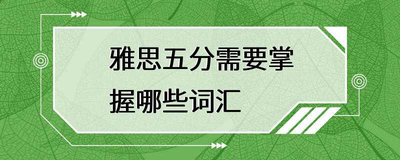 雅思五分需要掌握哪些词汇