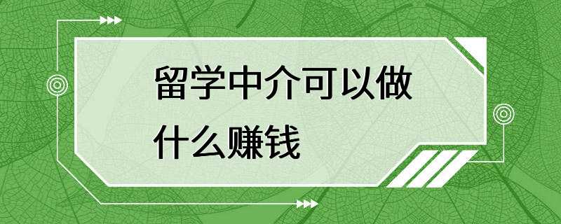 留学中介可以做什么赚钱