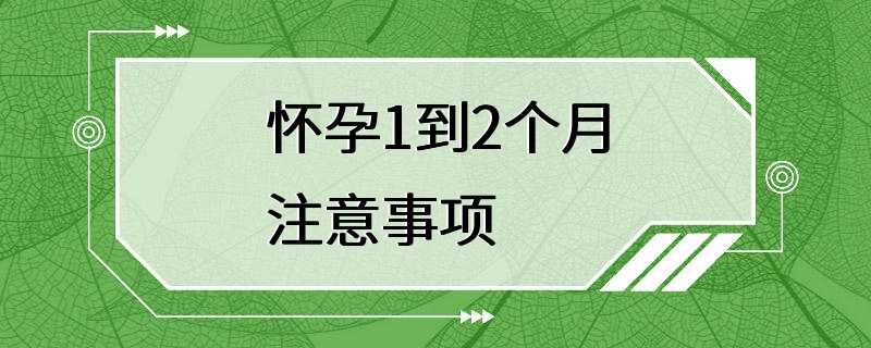 怀孕1到2个月注意事项