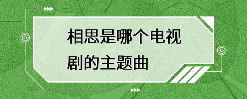 相思是哪个电视剧的主题曲