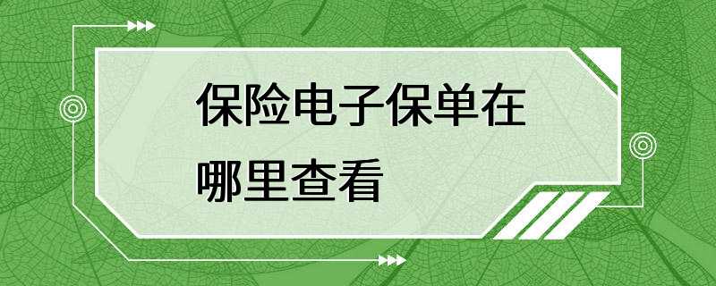 保险电子保单在哪里查看