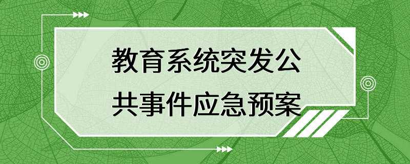 教育系统突发公共事件应急预案