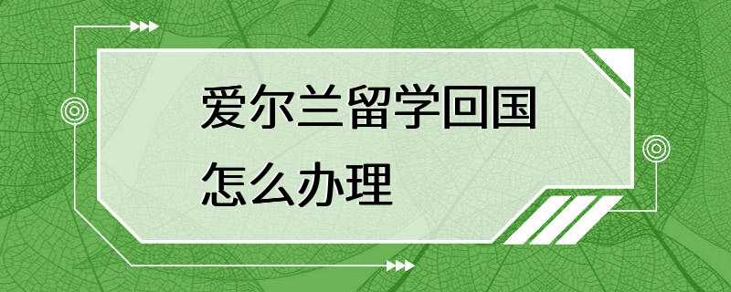 爱尔兰留学回国怎么办理