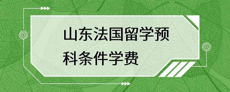 山东法国留学预科条件学费