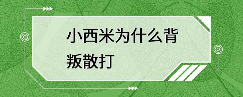 小西米为什么背叛散打