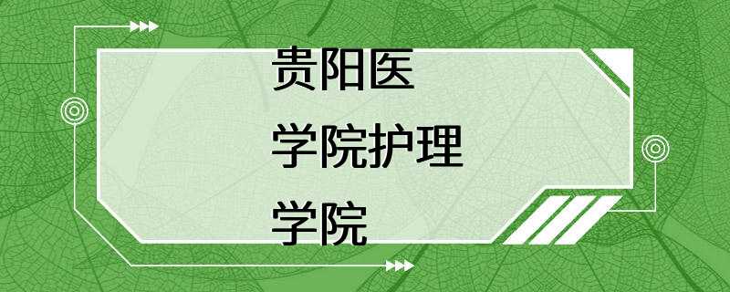 贵阳医学院护理学院