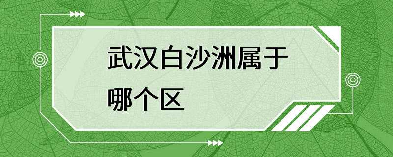 白沙洲属于武汉哪个区(白沙洲属于武汉哪个区哪个街道)