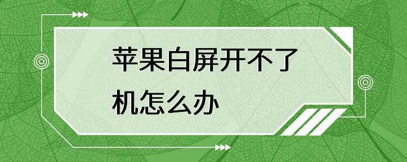 苹果版白屏方法苹果手机白屏会自己恢复吗