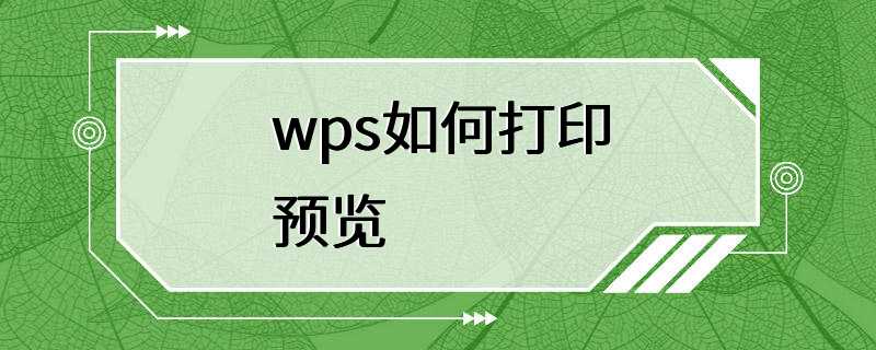 wps如何打印预览