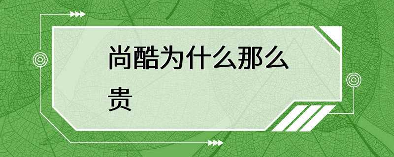 尚酷为什么那么贵